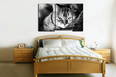 Модульная картина "Кошачье блаженство"