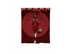 Штора в ванную Ливерпуль, Liverpool FC №8