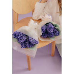 Гиацинтовый шлейф