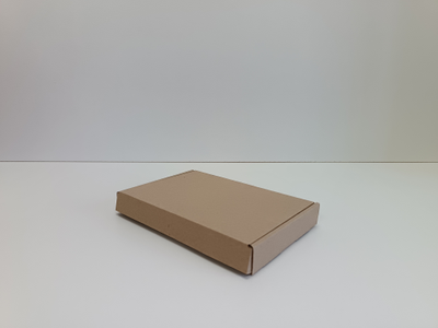 Коробка № 8 (245*161*33)