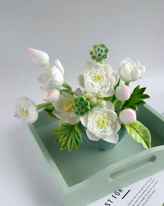 Коробочка лотоса