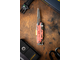 Leatherman Signal Guava