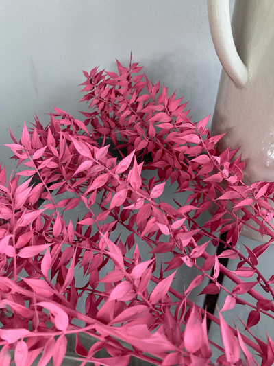 Иглица ярко-розовая