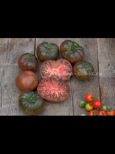 Томат Dwarf The Thong (Гном Тонг), 10 шт