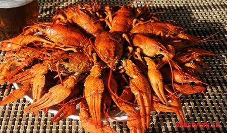 Вареные раки на коричневом фоне