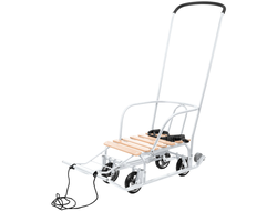 Продажа детских зимних саней Team 3.0 (White) в Иркутске по низким ценам