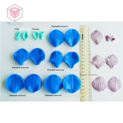 Набор вайнеров и каттеров "Орхидея Ванда"