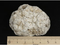 Кварц в жеоде, халцедон, полировка, Россия, Северный Кавказ, КЧР, Усть-Джегутинский район (56*53*23 мм, 85 г) №35580