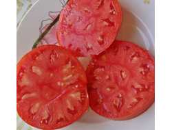 Томат Минусинский от Балуева