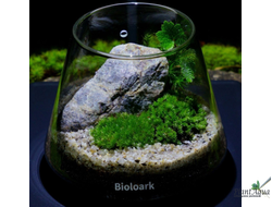 Чаша Пузырь Biolark Two (120мм х 105мм)