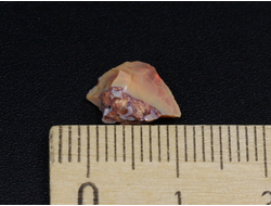 Опал благородный, Эфиопия (11*9*6 мм, 0,1 г) №24124