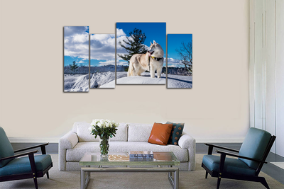 Модульная картина "Снежная лайка"