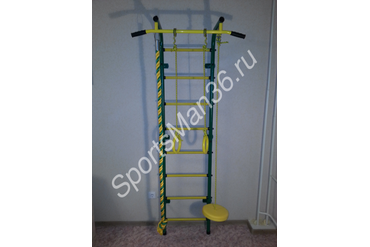 ДСК ПИОНЕР-С1НМ