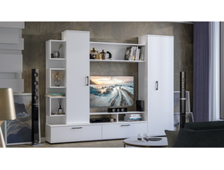 Стенка Дакота Белый ясень