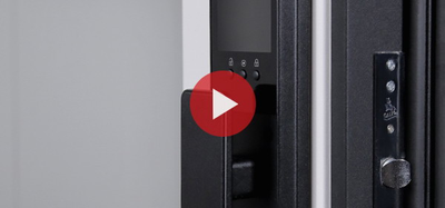 Стальная дверь   Сапсан с зеркалом (биометрический замок Smart lock К06)