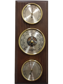 Метеостанция Бриг БМ93303-1-В