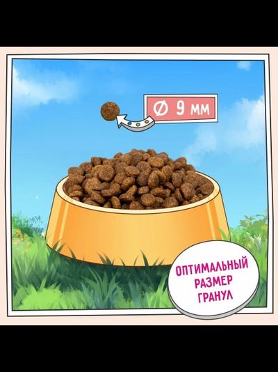 ZILLII Adult Dog Small Breed Light,сухой корм для собак мелких пород с избыточным весом, 3 кг Индейка с Ягненком