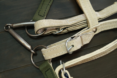 Узда сыромятная(кожа усиленна капроном) (модификация 2)