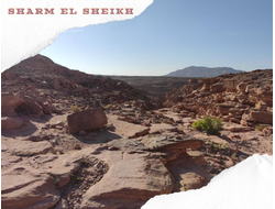 5 in 1 - DAHAB CANYON + BLUE HOLE + CAMEL RIDE + DAHAB + QUAD BIKING