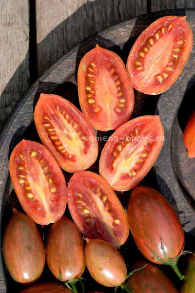 Томат Javelin (Копье), 10 шт