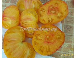 Томат Лаки Кросс (Lucky Cross), Канада