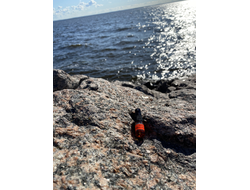 Духи АККОРД: ТЁМНОЕ ПРОШЛОЕ 2,5 мл