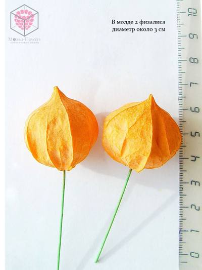 Силиконовый молд "Физалис"