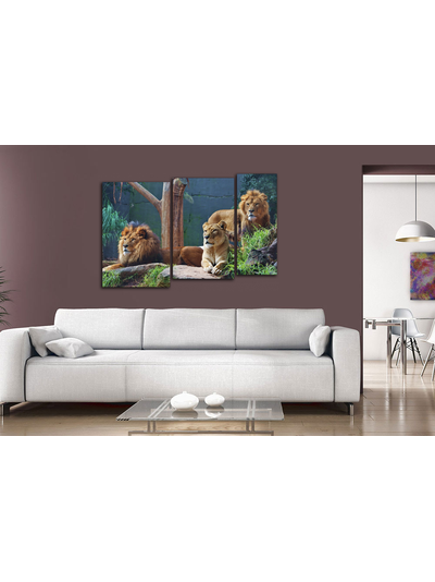 Модульная картина "Внимательные взгляды"