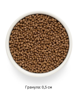 Grandorf Fresh для котят с ягненком и бататом, 400 г