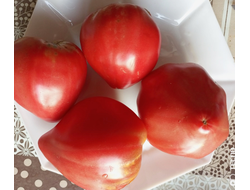 Томат Ребристый Эуганских Холмов (Costoluto Colli Euganei), Италия