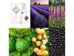 Initio Parfums Paragon