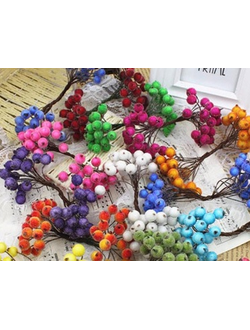 Рябина на ветке