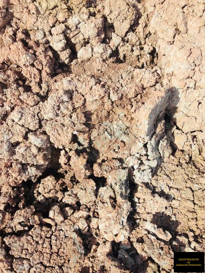 красная глина