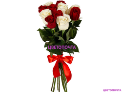 ����� �� ���������