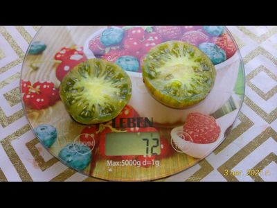 Томат Зеленая богиня Ксанаду (Xanadu Green Goddess), США