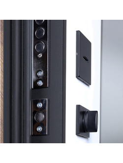 Стальная дверь   Plata с зеркалом (биометрический замок Smart lock Y12)