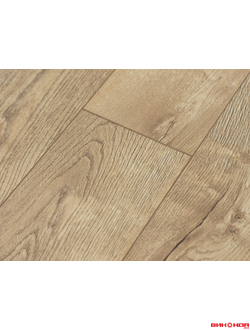 Сосна Княжеская