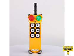 Комплект радиоуправления для кран-балки F24-6D (двухскоростной)