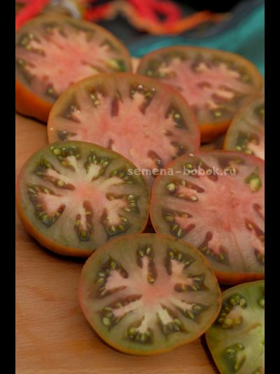 Томат Dwarf Chocolate Champion (Гном Шоколадный Чемпион), 10 шт