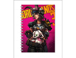 Тетрадь Borderlands, Бордерленд №2