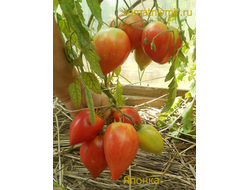 Томат Японка