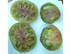 Томат Харвард сквер (Harvard Square)