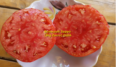 Томат  Бигзарро (Bigzarro), США