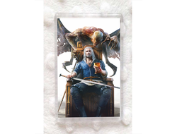 Магниты Wither, Ведьмак №2