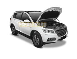 Амортизаторы капота, 2 шт. для Haval H6 (2014-2019)