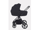Коляска 2в1 Rant Teo Black