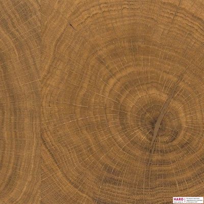 Паркетная доска Haro Карре Дуб Селектив 529069 торцевой распил лак