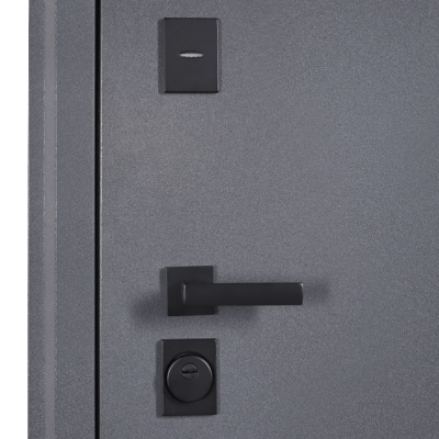 Стальная дверь    Беркут с зеркалом