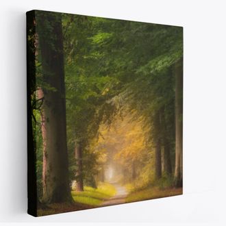 Печатная картина на деревянном подрамнике, 40*40 см. "Зеленый лес"/"Осенний лес"