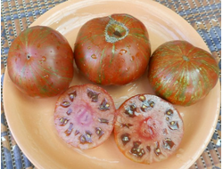 Томат Ирландский полосатый  (Irish Stripes)